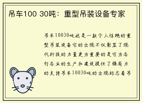 吊车100 30吨：重型吊装设备专家