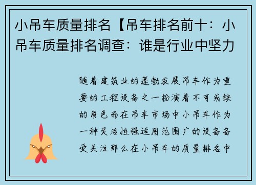 小吊车质量排名【吊车排名前十：小吊车质量排名调查：谁是行业中坚力量？】