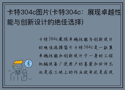 卡特304c图片(卡特304c：展现卓越性能与创新设计的绝佳选择)